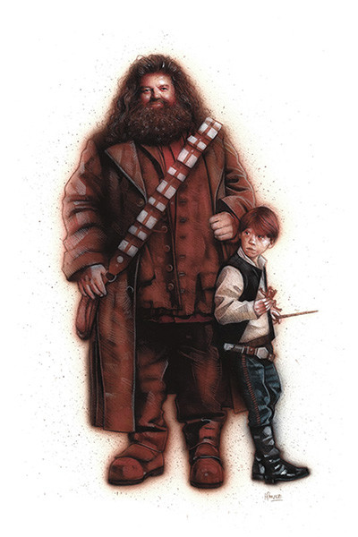 hagrid-chewbacca-ron-han-solo-mash-up-star-wars-harry-potter