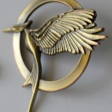 Pin de Los Juegos del Hambre. En llamas