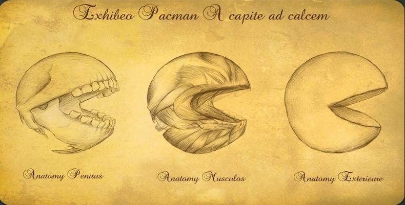 ilustracion-anatomia-pac-man-estilo-darwin