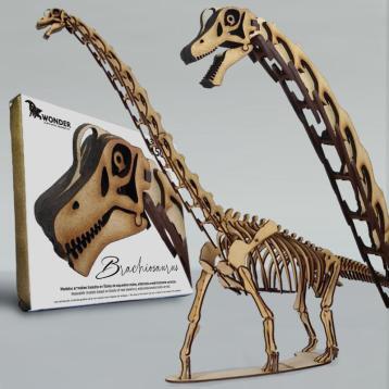 Esqueleto brachiosaurus armable